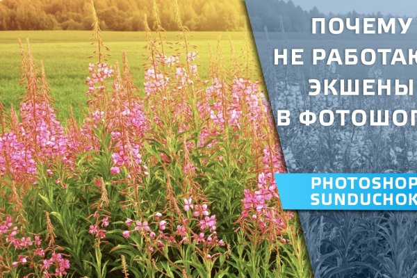 Кракен 16 даркнет продаж